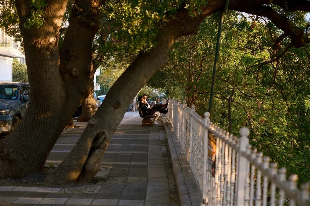 Reading on a bench under a leaning old tree, Istanbul